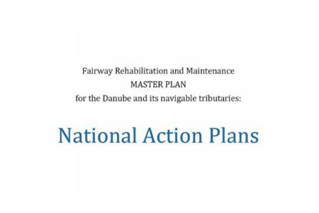 Update of the National Action Plans