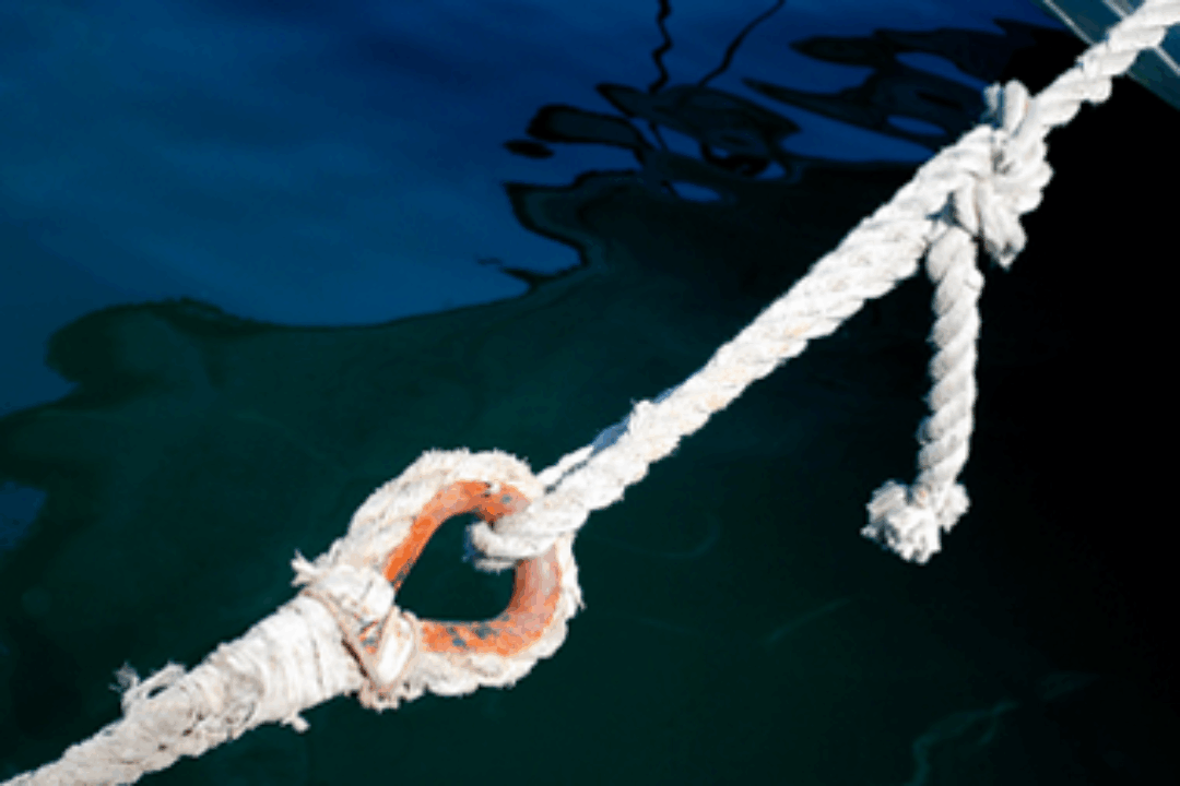 Implementation of harmonised control procedures in navigation: PA1a and PA11 joint conference in Ukraine