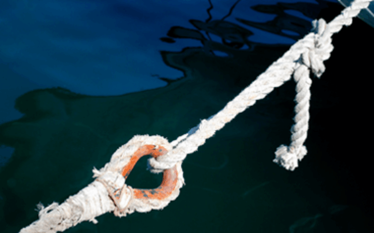 Implementation of harmonised control procedures in navigation: PA1a and PA11 joint conference in Ukraine