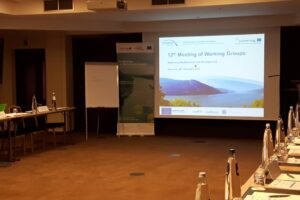 12TH WG MEETING